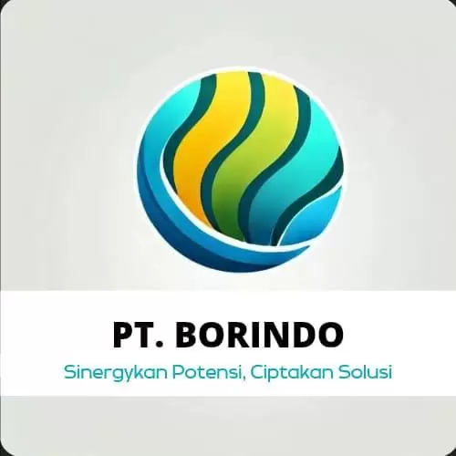 Borindo